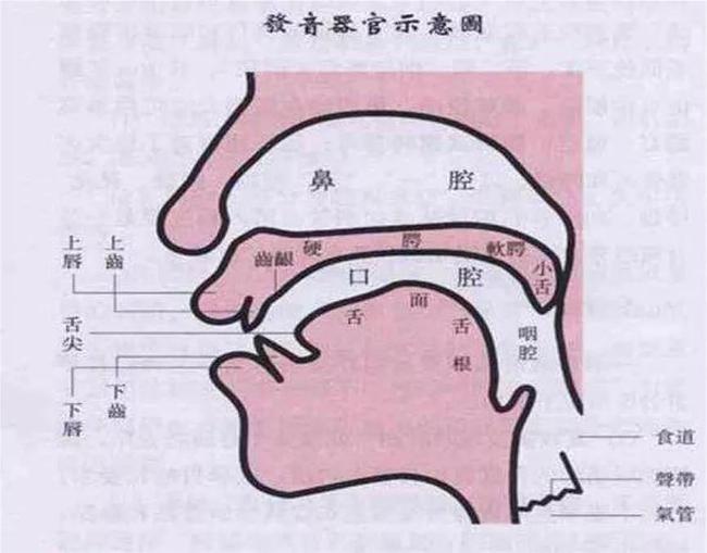 小孩發(fā)音不清楚的原因是什么？